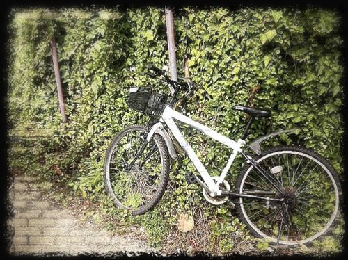 Bicycle.jpg