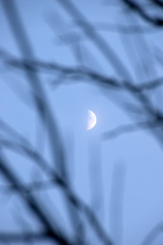 Half-moon.jpg