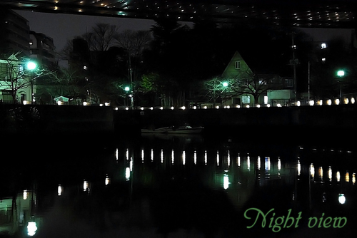 Night view.jpg