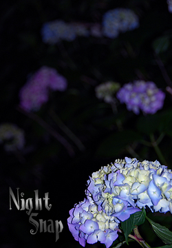 night snap.jpg